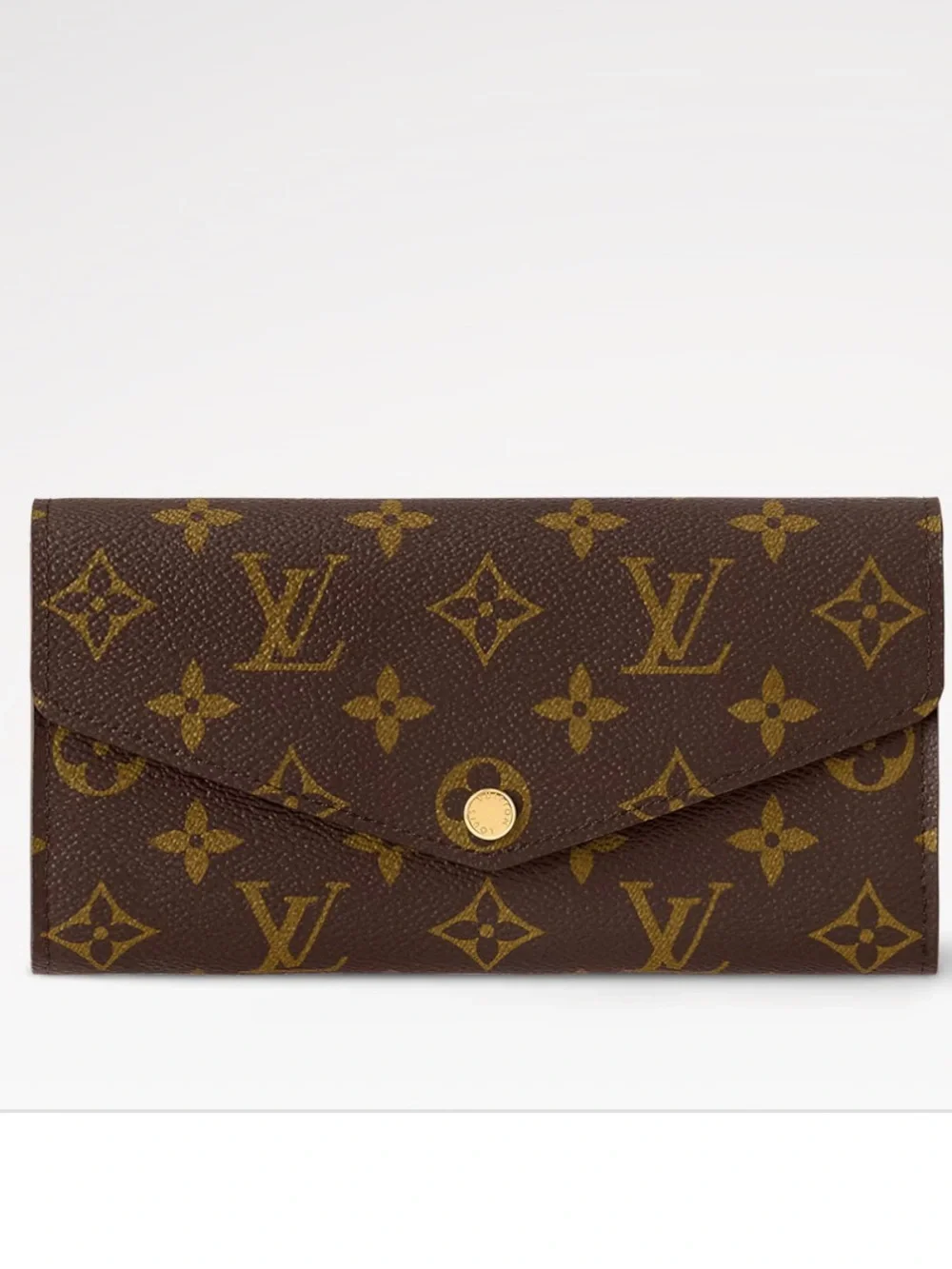 Louis Vuitton classic louis